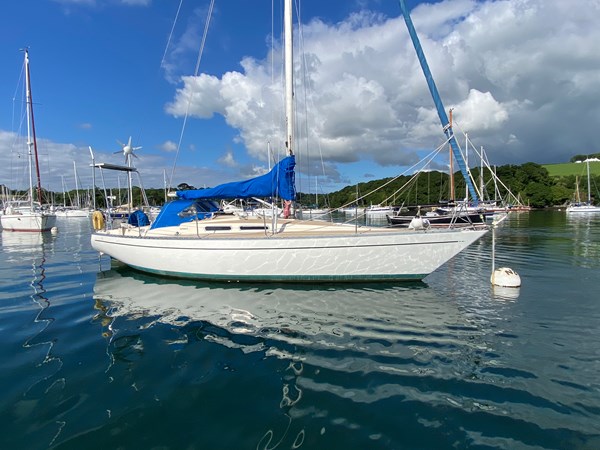 1980 SHE 36