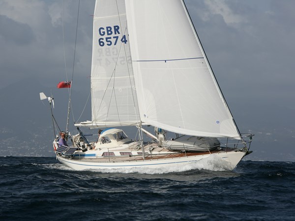 Swan-38.JPG