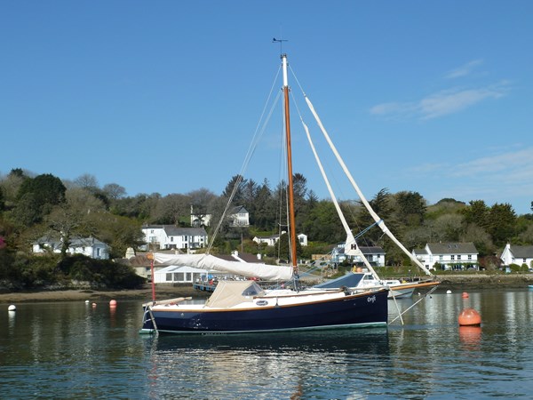 Cape Cutter 19