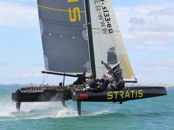2012 Custom built SL33 Cat
