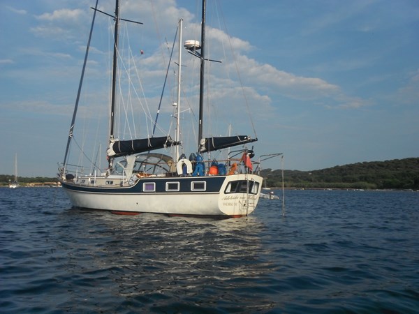 1978 Trintella 4