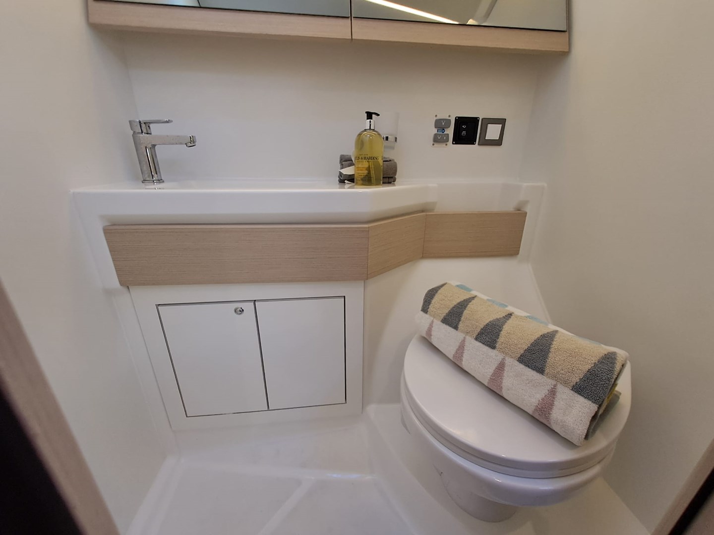 2022 Beneteau Oceanis 46.1 for sale - Ensuite heads