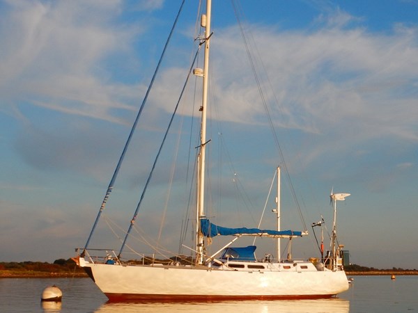 Callisto 385 Plus for Sale